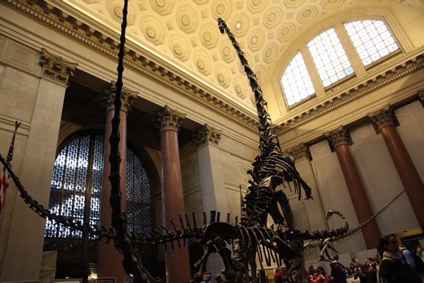 华盛顿一日游旅游线路-美国自然历史博物馆