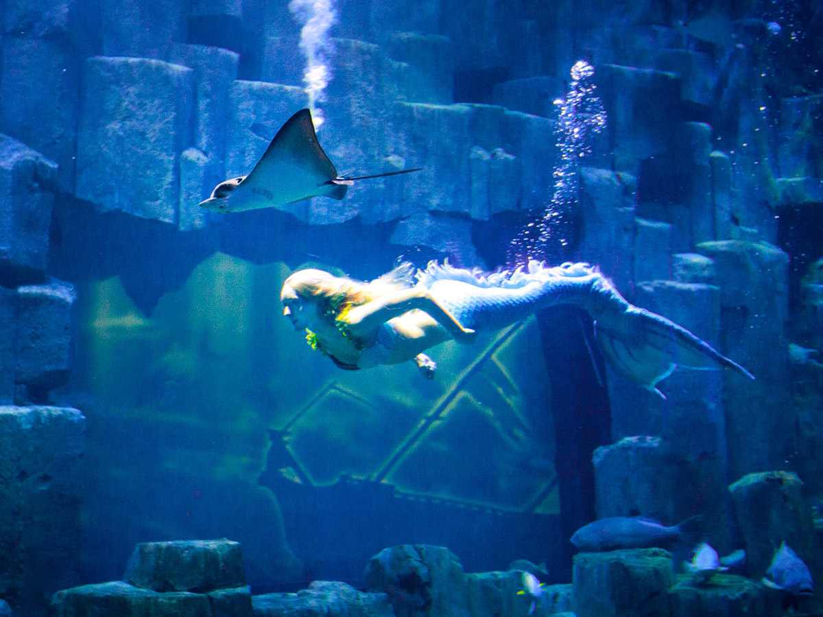 法国巴黎水族馆