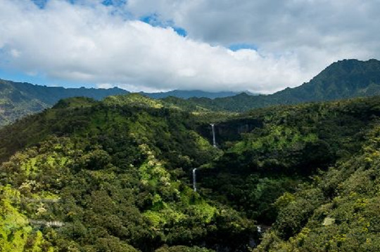 威美亚峡谷州立公园