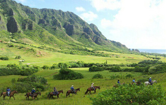 夏威夷古兰尼牧场