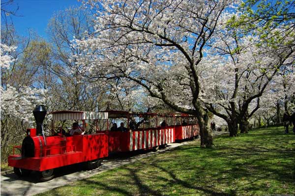 多伦多高地公园