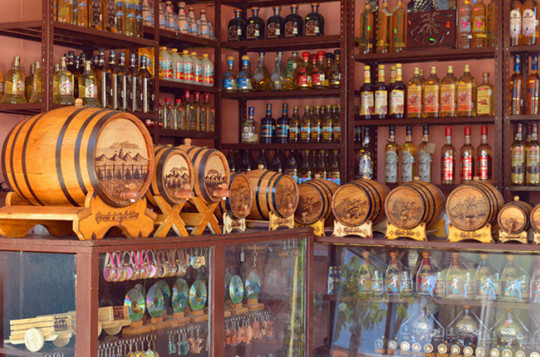 墨西哥龙舌兰酒厂