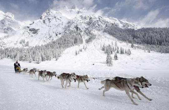 2015阿拉斯加州旅游攻略 看冰山雪景遇醉美极光