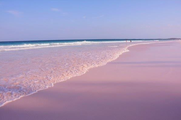 巴哈马旅游必去景点-哈勃岛粉色沙滩