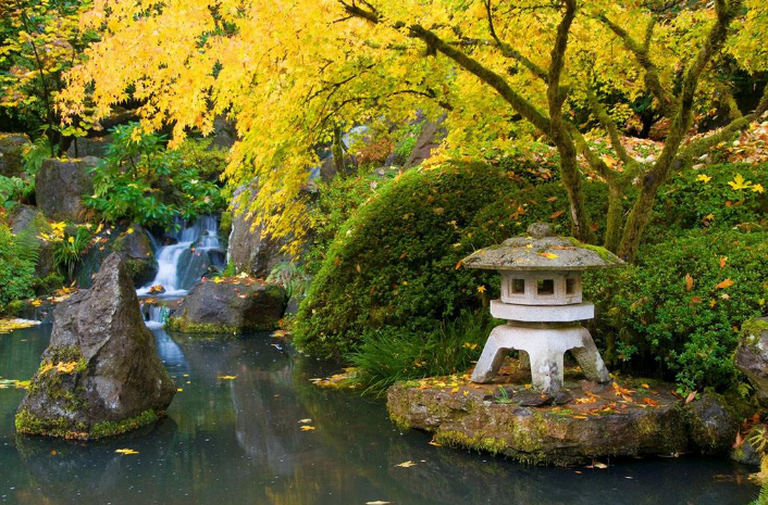 波特兰一日游线路-波特兰日本花园