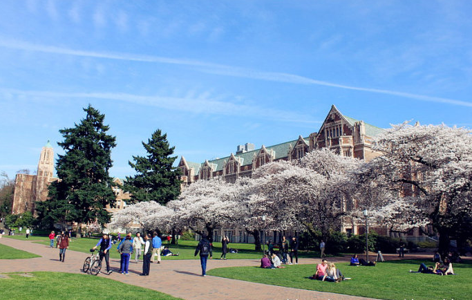 华盛顿樱花节最佳赏樱地点-华盛顿大学