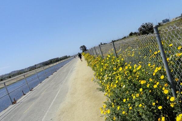 洛杉矶骑行路线-Ballona Creek Trail