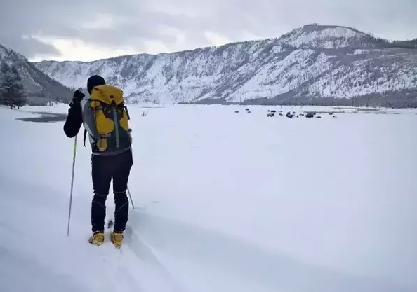 冬季去美国黄石国家公园旅游玩什么-越野滑雪