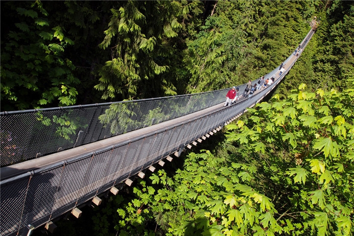 温哥华旅游景点-卡皮拉诺吊桥公园