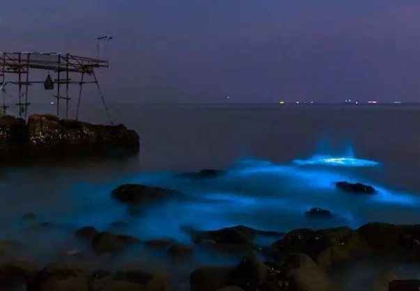 波多黎各旅游必去景点-荧光海