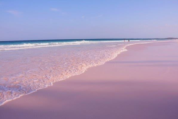 巴哈马旅游必去景点-粉色海滩